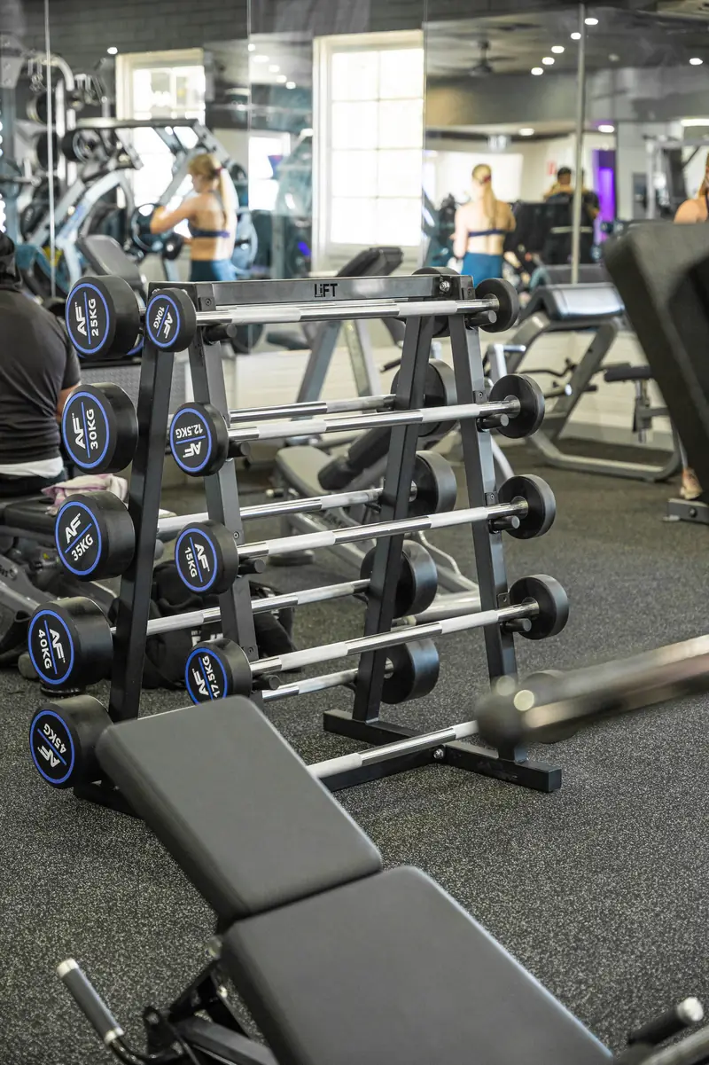 The fixed barbell rack